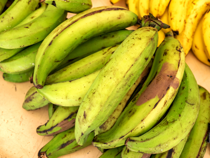 Plantain bananas or green banana. Traditional and popular snack and accompaniment in Central and Northern South America.