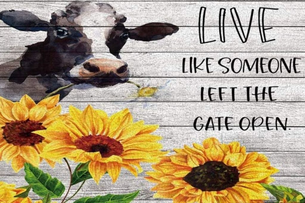 Funny Kitchen Mats: 8 Best of 2021 That Will Crack Your Guests Up
