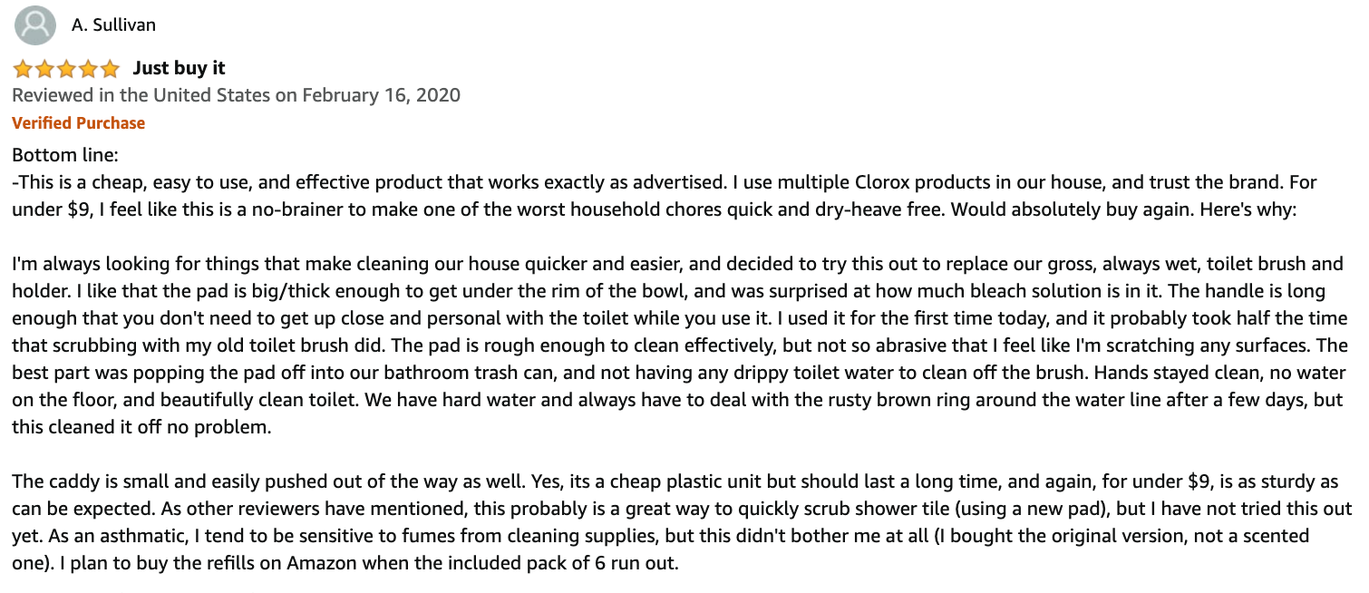 toilet brush review 1