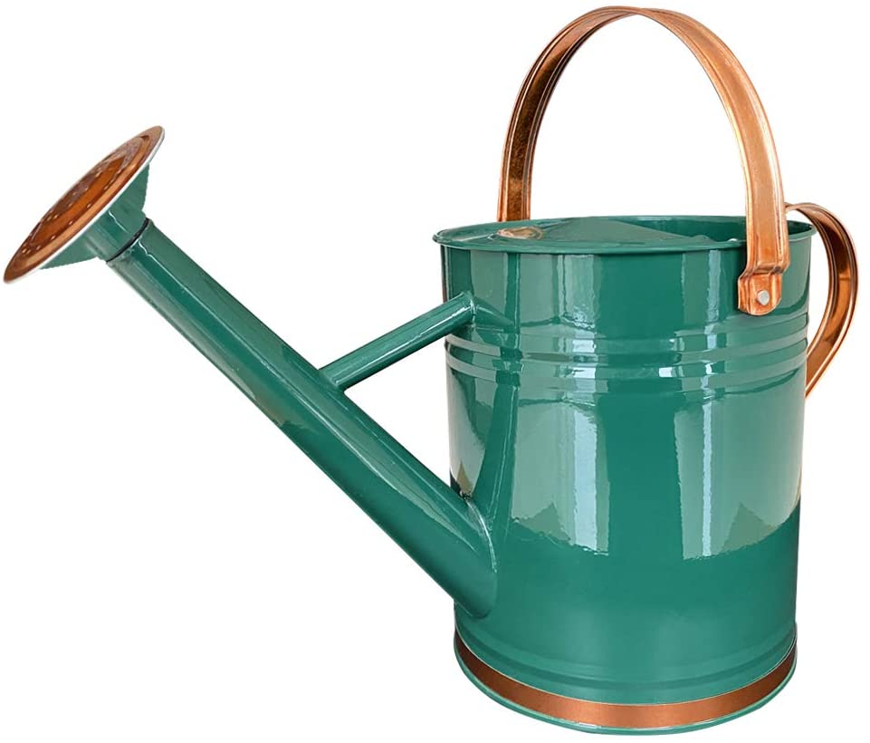 SunnyTong Galvanized Steel Watering Can Metal Watering Can for Outdoor Plants with Copper Accents 1 Gallon, Green