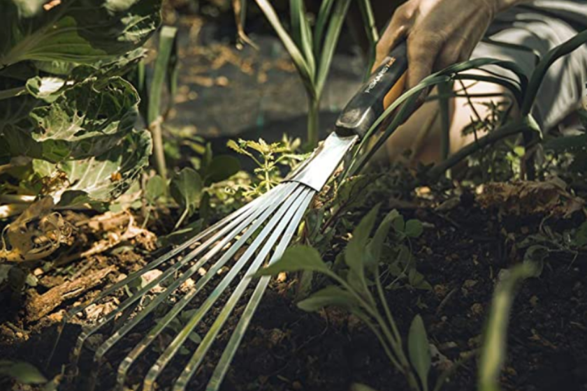 Garden Ruke Garden Rake: 6 Best of 2021 (Extendable Handles & Hand Rakes)
