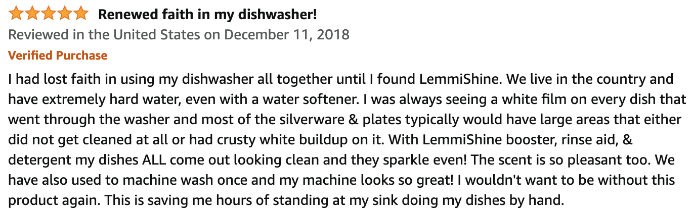 Lemi Shine Dishwashing Review 1 