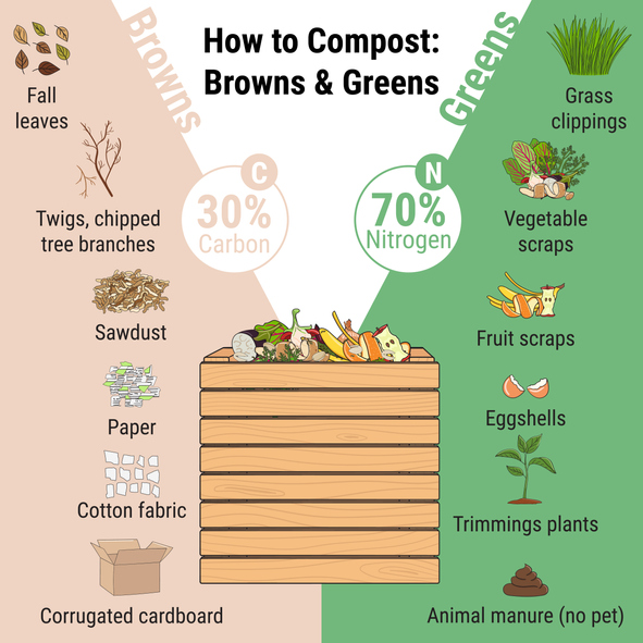 Infographic of garden composting bin with scraps. What to compost. Green and brawn ratio for composting. Recycling organic waste. Sustainable living concept. Hand drawn vector illustration.
