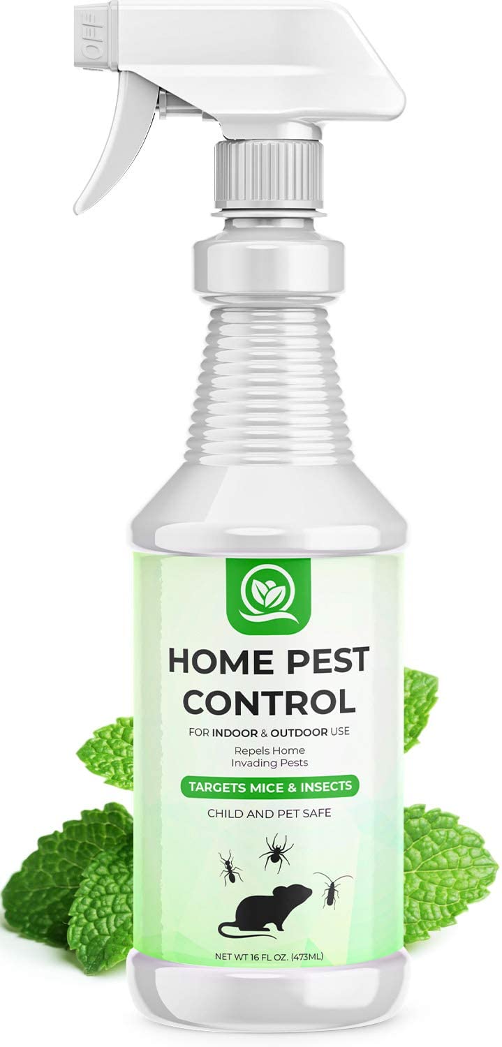 NATURAL OUST Peppermint Oil Mouse Repellent Spray - Roach Ant Spider Bug Insect Killer - Eco Friendly Pest Control to Repel Mice - Humane Repeller...
