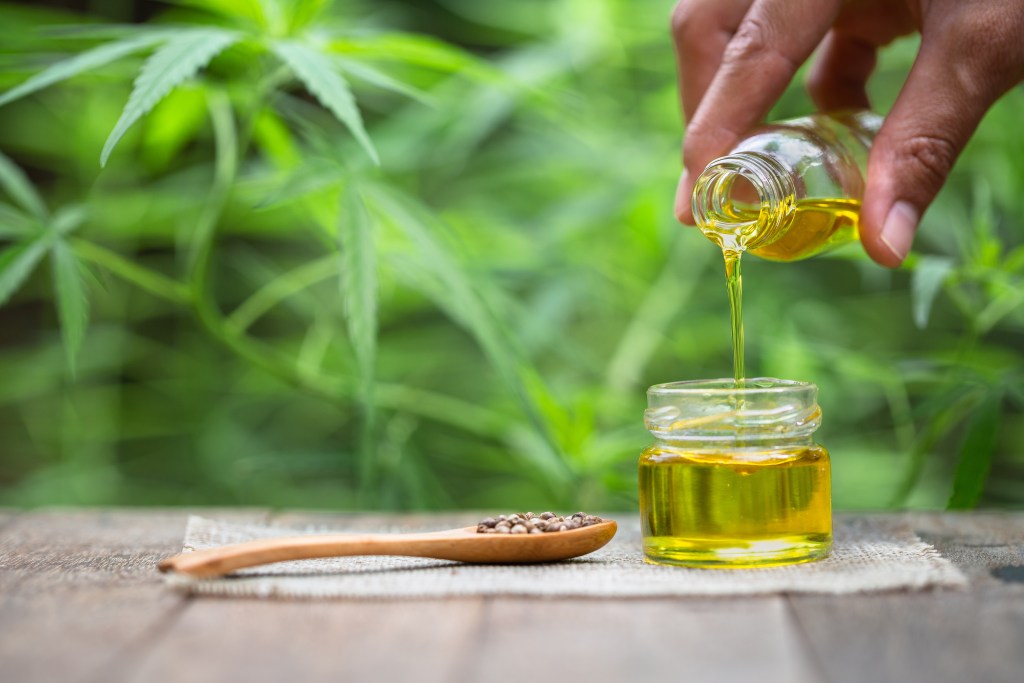 Pouring hemp oil into glass Jar and hemp seeds in a wooden spoon on a green hemp leaf background, CBD Hemp oil.