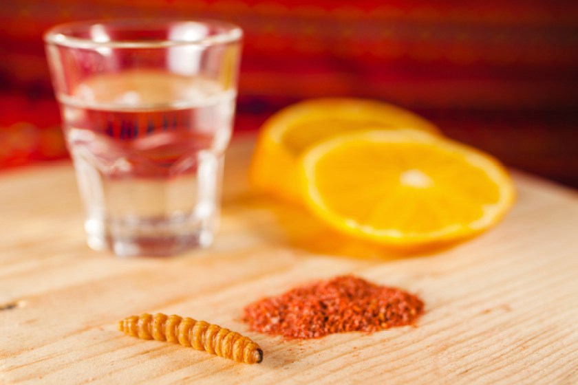 mezcal shot with chili salt and agave worm, mexican drink in mexico
