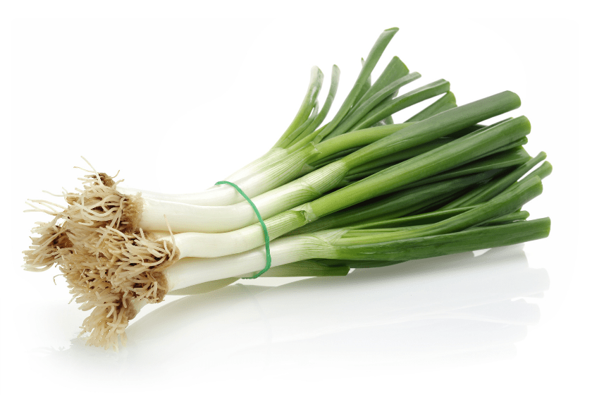 pile of green onions on white background how to store