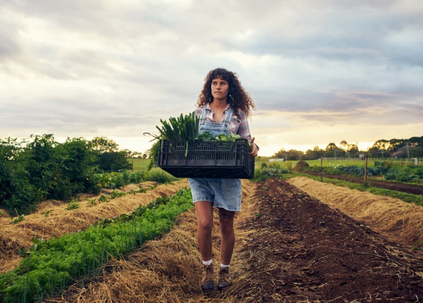Shot of a young woman carrying a crate of fresh produce on a farm