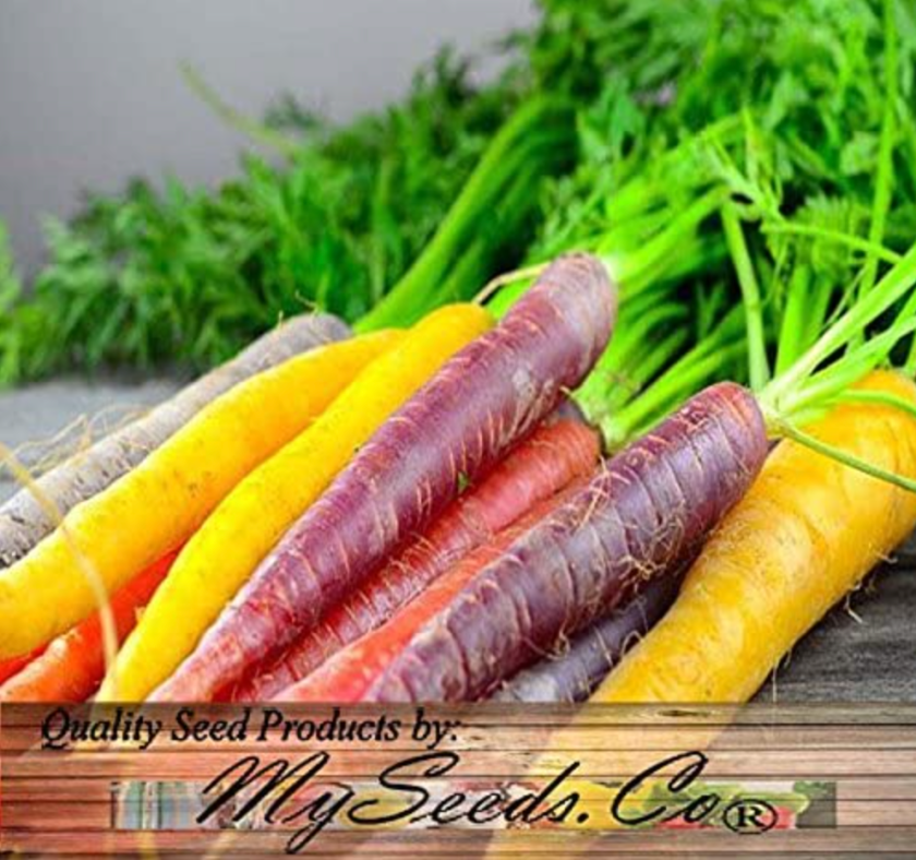 rainbow carrots