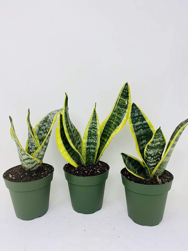 artificial succulent pots Bulk 20 Styles 5