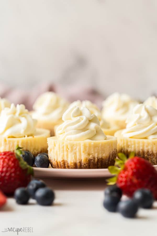 cheesecake-cupcakes