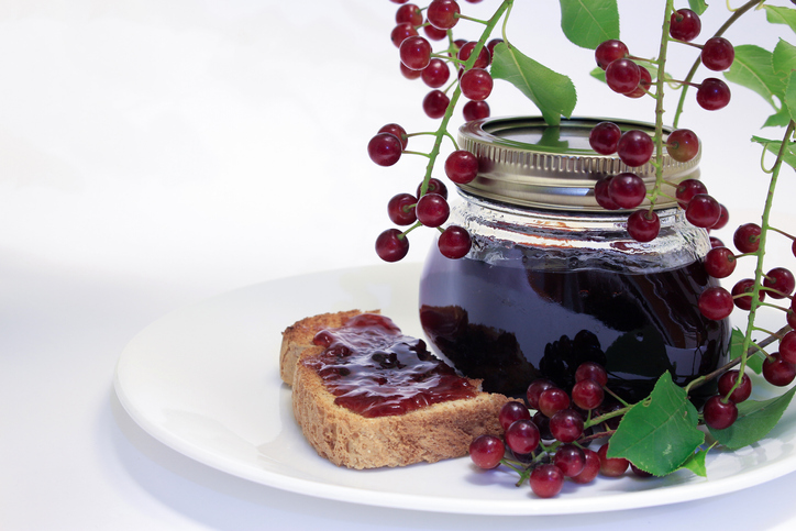 Chokecherry jam preserve displayed with a slice of jam toast and a branch of a chokecherry tree isolated on a white background