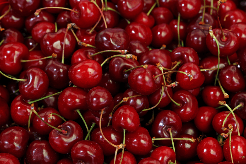 when is cherry season