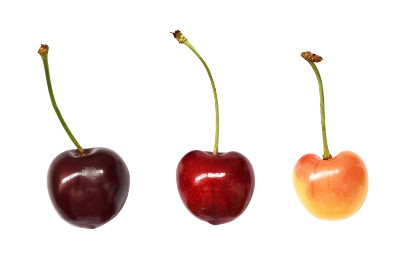 three types of cherries