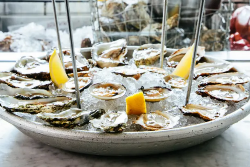 the darling oysters